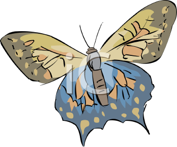 Insect Clipart