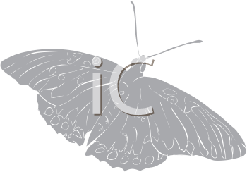 Insect Clipart