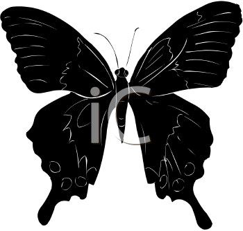 Insect Clipart