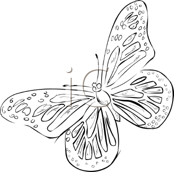 Insect Clipart