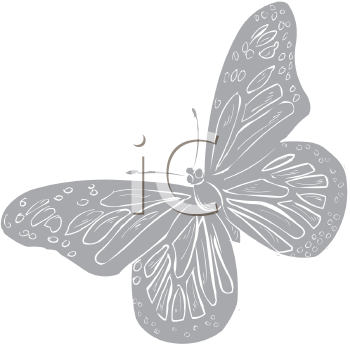 Insect Clipart