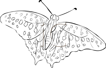 Insect Clipart