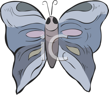 Insect Clipart