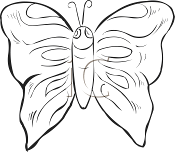 Insect Clipart