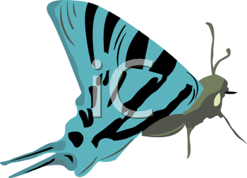 Insect Clipart