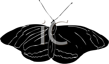 Insect Clipart