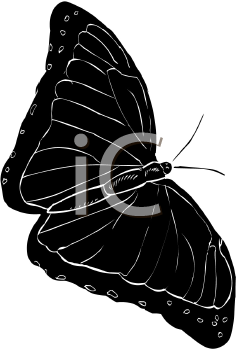 Insect Clipart