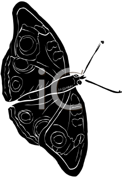 Insect Clipart