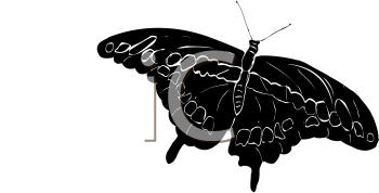 Insect Clipart