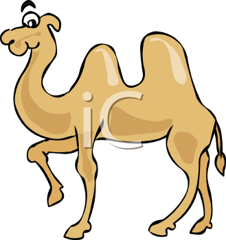 Camel Clipart