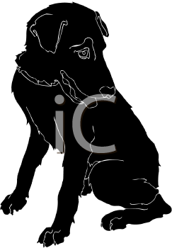 Pet Clipart