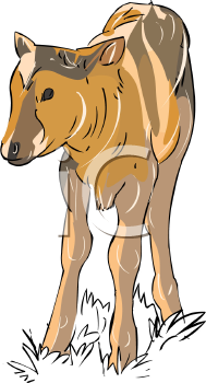 Farm Animal Clipart