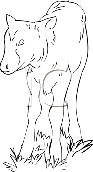 Farm Animal Clipart