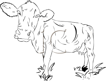 Farm Animal Clipart