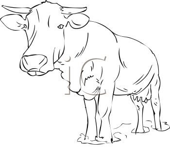 Farm Animal Clipart