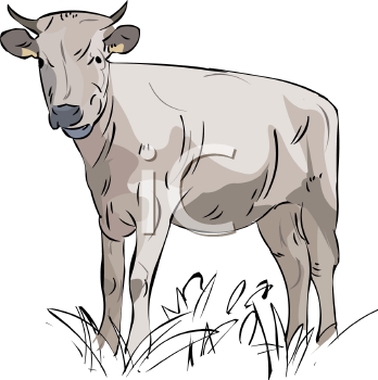 Farm Animal Clipart