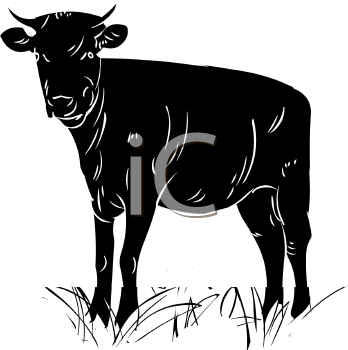 Farm Animal Clipart