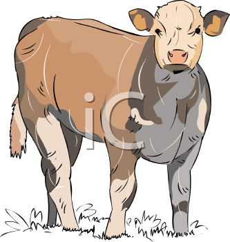 Farm Animal Clipart