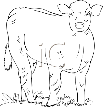 Farm Animal Clipart