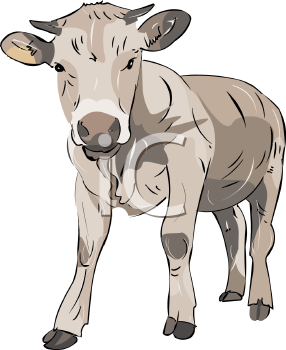 Farm Animal Clipart