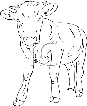 Farm Animal Clipart