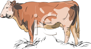 Farm Animal Clipart