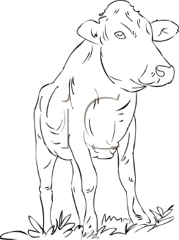 Farm Animal Clipart