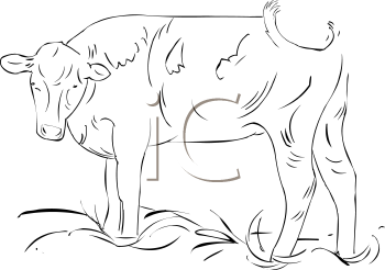 Farm Animal Clipart