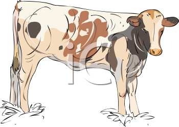 Farm Animal Clipart