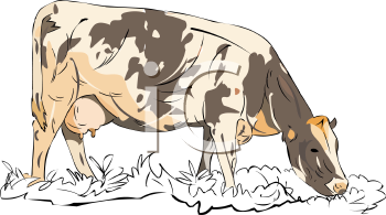 Farm Animal Clipart