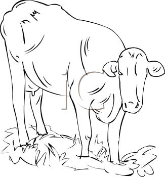 Farm Animal Clipart