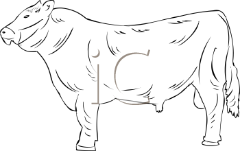 Farm Animal Clipart