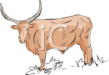 Farm Animal Clipart