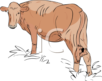 Farm Animal Clipart