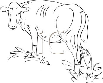 Farm Animal Clipart