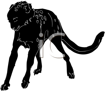 Big Cat Clipart