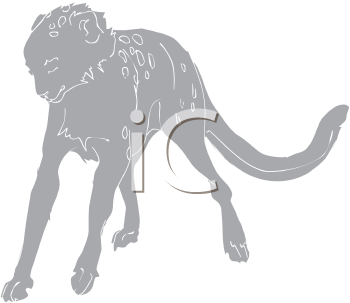 Big Cat Clipart