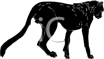 Big Cat Clipart