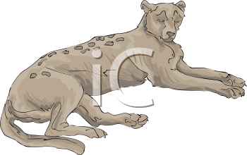 Big Cat Clipart