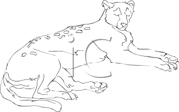 Big Cat Clipart