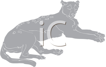 Big Cat Clipart