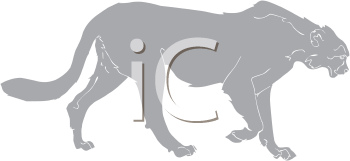 Big Cat Clipart