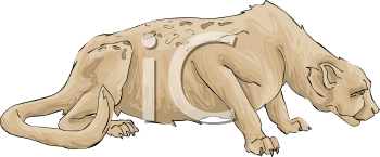 Big Cat Clipart