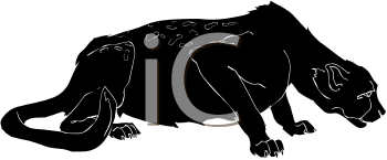 Big Cat Clipart