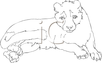 Big Cat Clipart