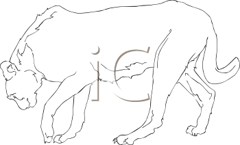 Big Cat Clipart