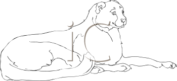 Big Cat Clipart