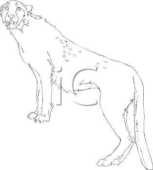 Big Cat Clipart