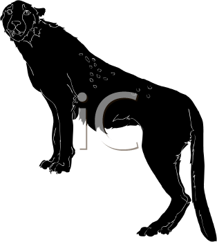 Big Cat Clipart