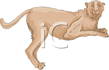 Big Cat Clipart